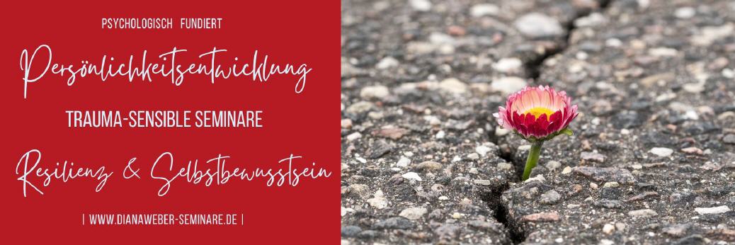 Seminar Resilienz & Persönlichkeitsentwicklung mit Diana Weber in Wiesbaden Mainz Frankfurt