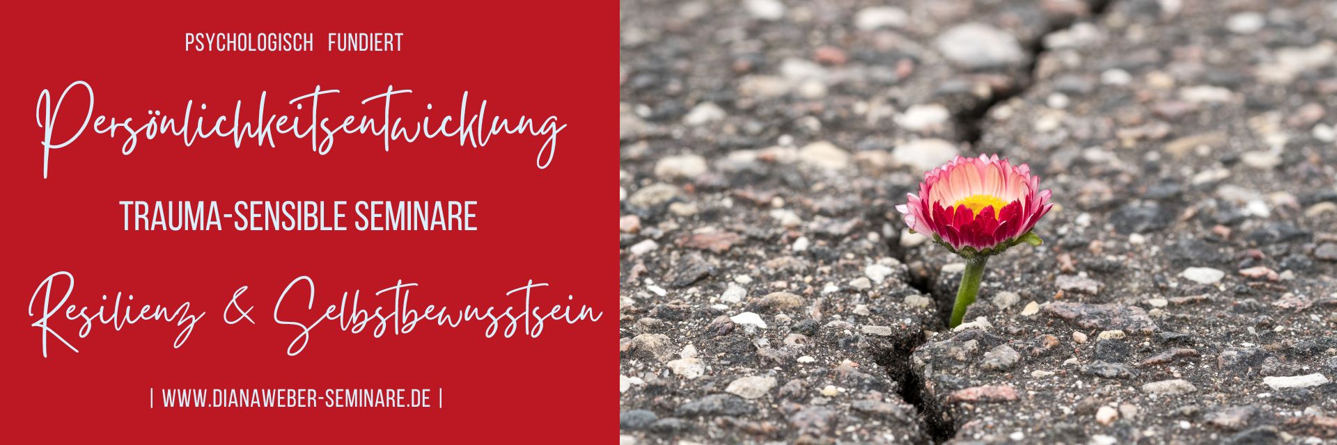 Seminar Resilienz & Persönlichkeitsentwicklung mit Diana Weber in Wiesbaden Mainz Frankfurt